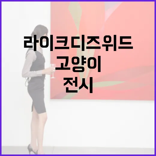 라이크디즈위드 고양이 전시 묘한 매력