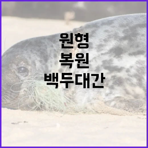 백두대간 생태축 복원, 원형 그대로 잇는다