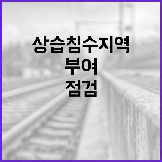 부여 상습 침수지역 집중 점검 강화
