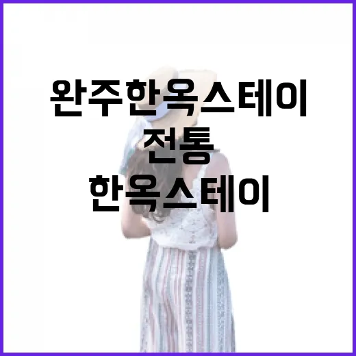 완주 한옥스테이에서 전통과 자연을 만나다