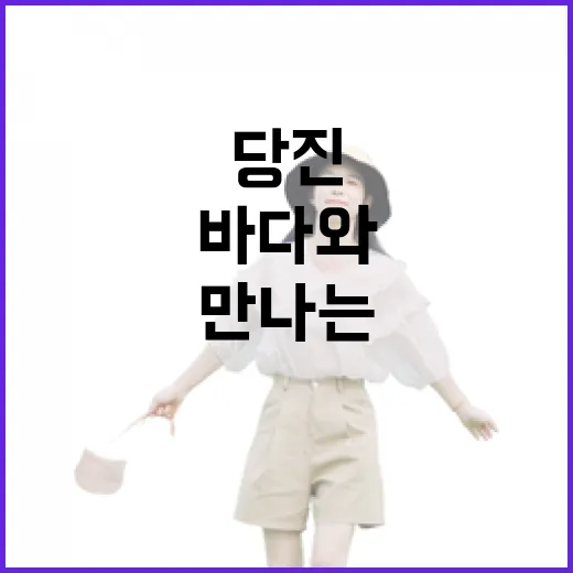 당진 삽교호에서 만나는 바다와 놀이의 즐거움