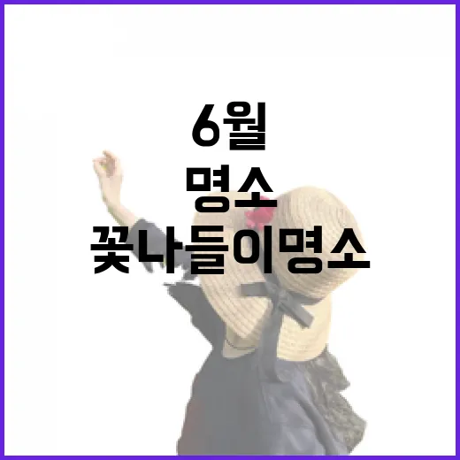 전북 6월 꽃나들이 명소 4선
