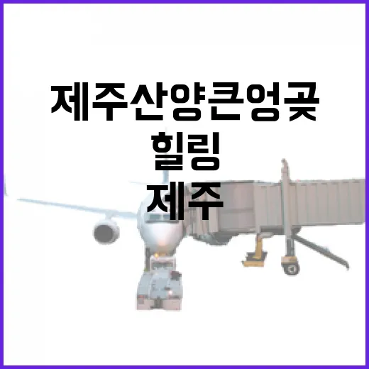 제주 산양큰엉곶, 낮과 밤의 자연 힐링