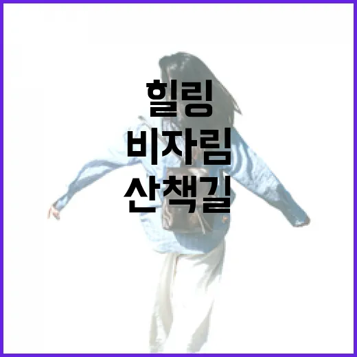 제주 비자림, 자연 속 힐링 산책길