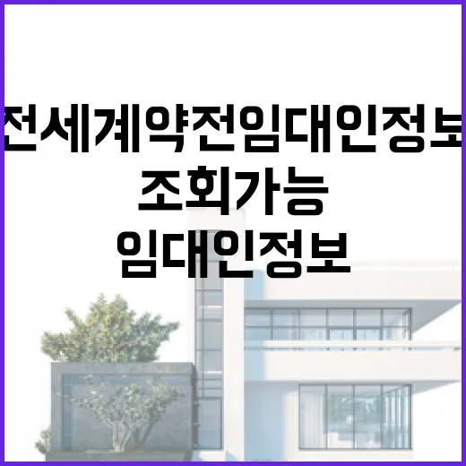전세 계약 전 임대인 정보 직접 조회 가능