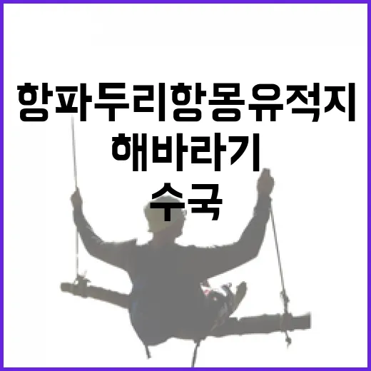 항파두리 항몽유적지 6월 수국과 해바라기 풍경