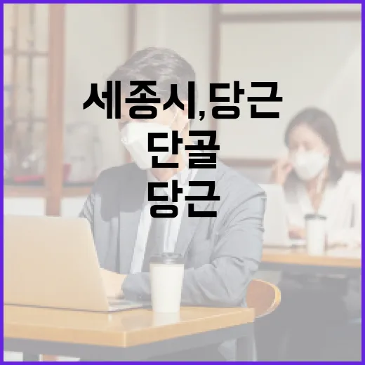 세종시, 당근 마켓서 단골 소통 시작