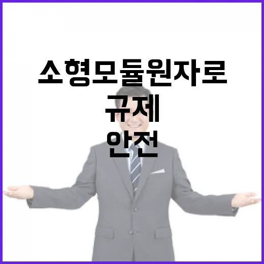 소형모듈원자로 안전규제 신속 마련