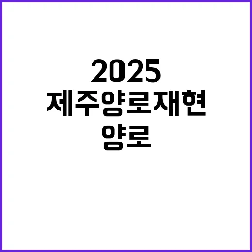 2025 제주양로 …