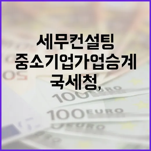 국세청, 중소기업 가업승계 세무컨설팅 7월 접수 시작