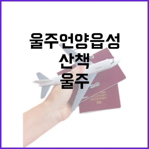 5천원대 국수와 착한카페 신거북시장 맛집