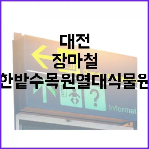 대전 한밭수목원 열대식물원 장마철 명소
