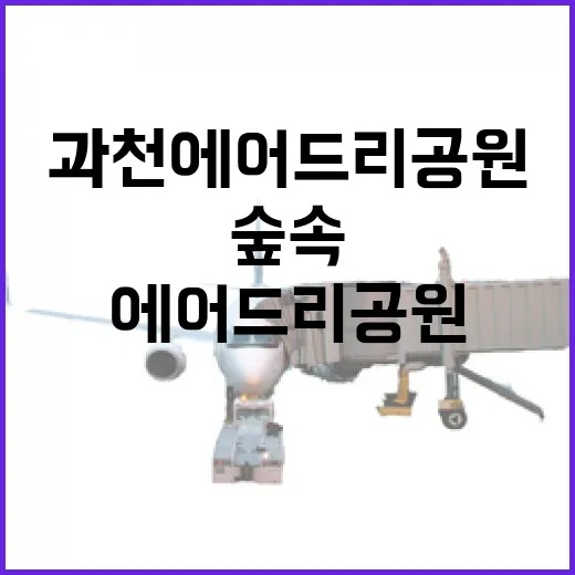과천 에어드리공원, 숲속 힐링 명소 재탄생