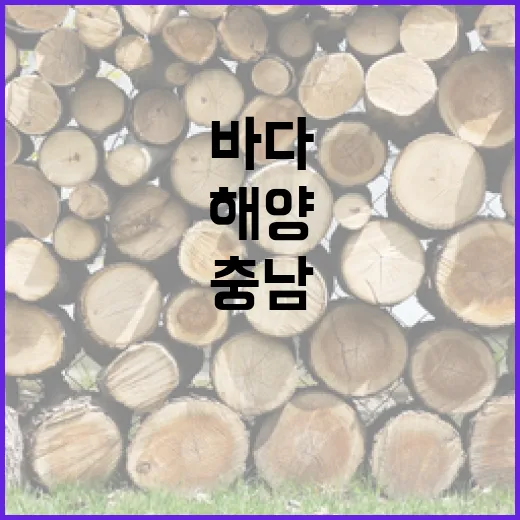 충남, 해양환경교육으로 바다 지키기 앞장