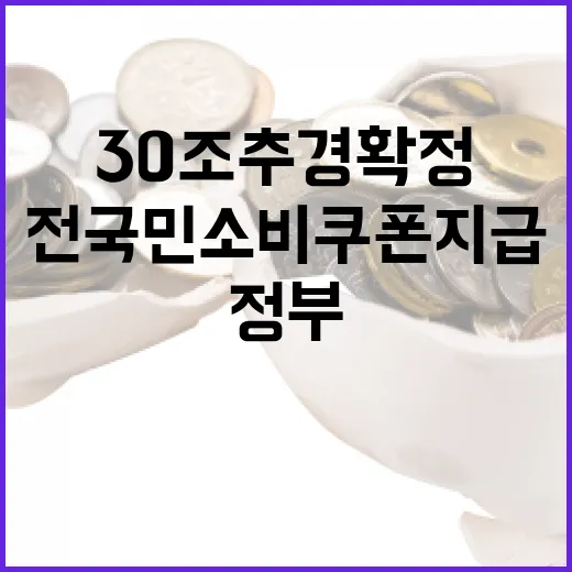새 정부 30조 추경 확정, 전 국민 소비쿠폰 지급