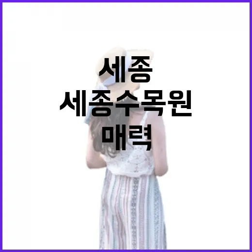 세종수목원 밤의 매력, 빛과 자연의 하모니