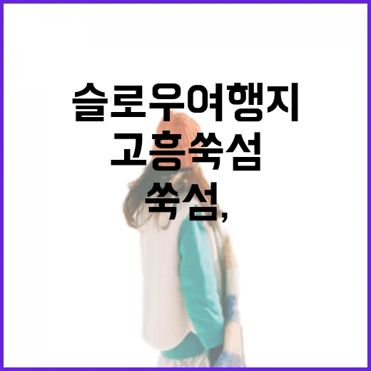 고흥 쑥섬, 고양이와 수국이 어우러진 슬로우 여행지