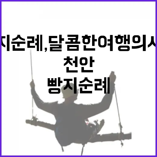 천안 빵지순례, 달콤한 여행의 시작