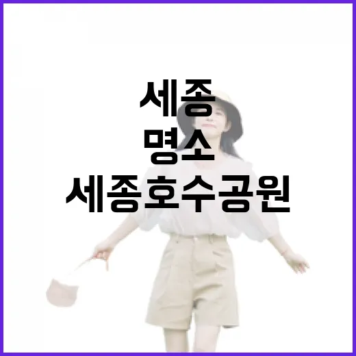세종호수공원, 여름밤 낭만의 명소