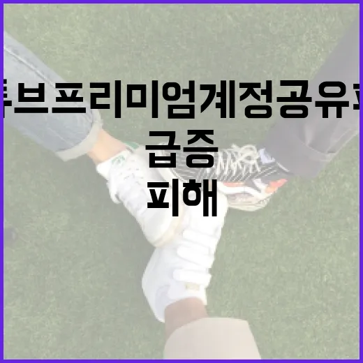 유튜브 프리미엄 계정 공유 피해 급증 경고