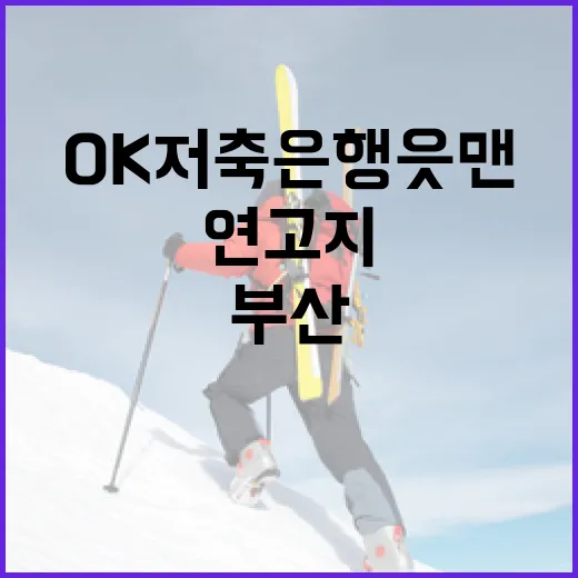 OK 저축은행 읏맨 부산 연고지 확정