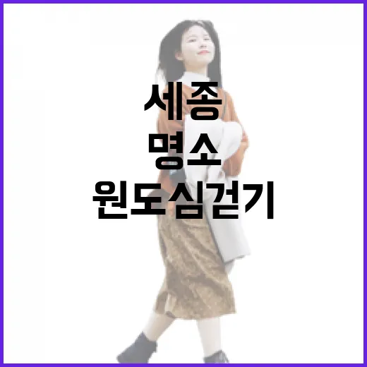 세종 원도심 걷기 명소 4선