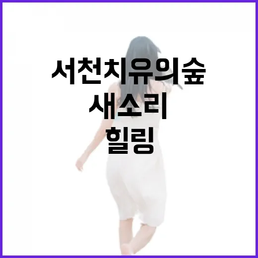 서천 치유의 숲, 새소리와 함께하는 힐링 산책