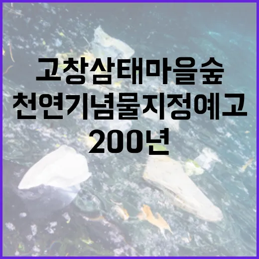 200년 지킨 고창 삼태마을숲 천연기념물 지정 예고