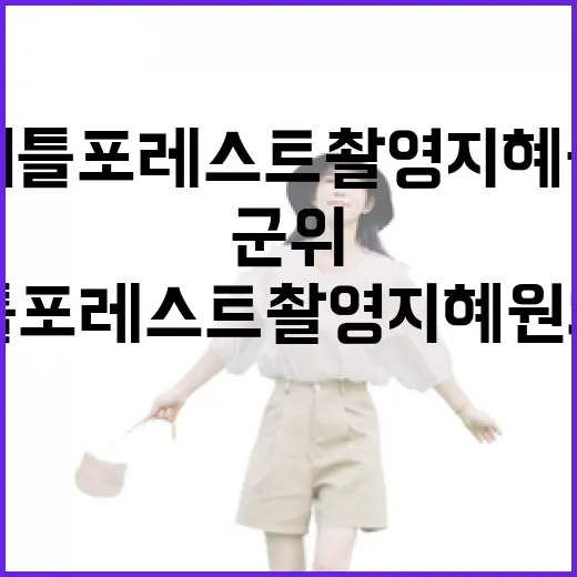 군위 리틀포레스트 촬영지 혜원의 집 명소