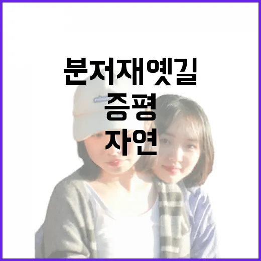 증평 분저재옛길, 자연과 전통이 어우러진 산책로