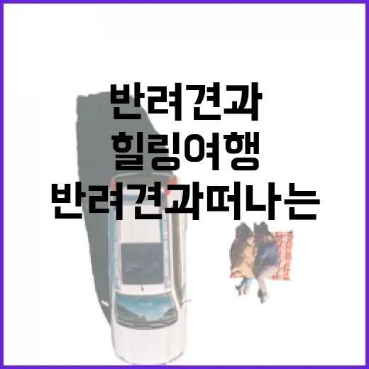 반려견과 떠나는 충남 힐링 여행