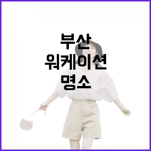 부산 워케이션 명소 완벽 가이드