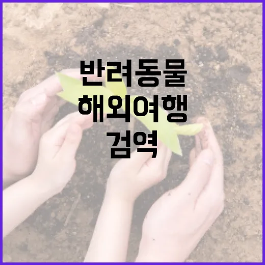 반려동물 해외여행 필수 검역 절차 안내