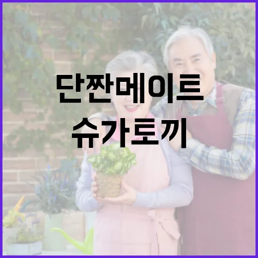 광주 단짠메이트 슈…