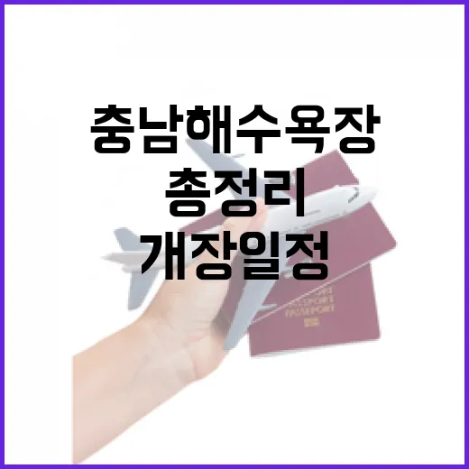 충남 해수욕장 개장 일정 총정리