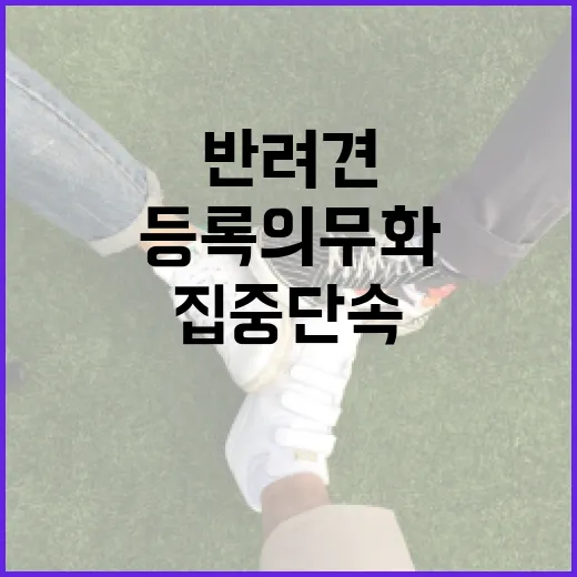 7월 집중 단속, 반려견 동물등록 의무화