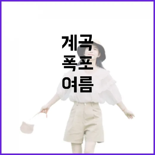 울산 여름 계곡과 폭포 5선