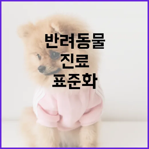 반려동물 보험 활성화 위한 진료 표준화 추진