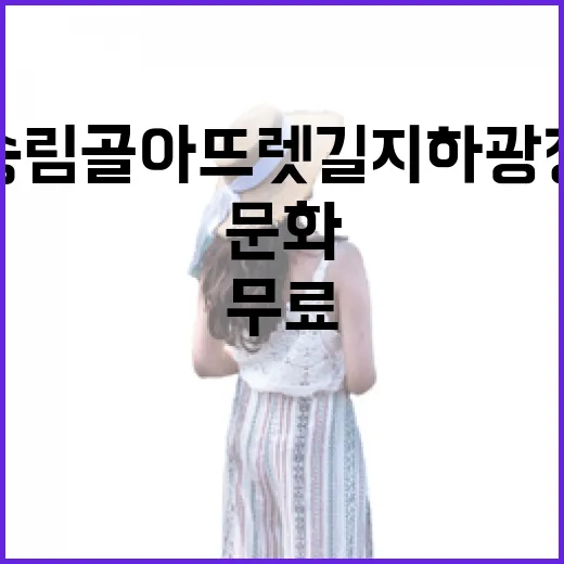 무료로 즐기는 송림골아뜨렛길 지하광장 문화체험