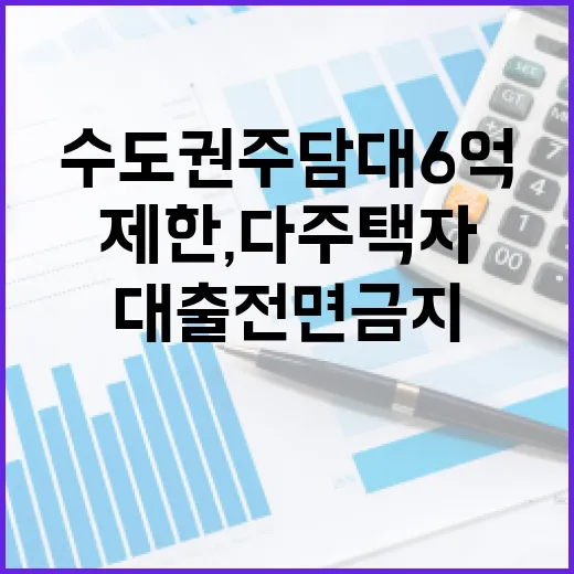 수도권 주담대 6억 제한, 다주택자 대출 전면 금지