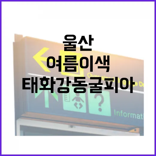 울산 태화강 동굴피아, 여름 이색 피서 명소