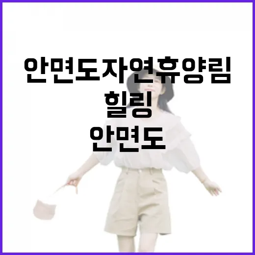 안면도 자연휴양림에서 만나는 힐링의 숲