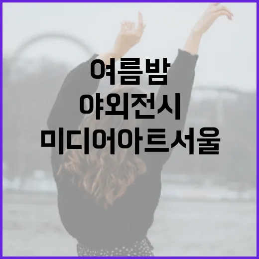여름밤 빛나는 미디어아트 서울 야외전시
