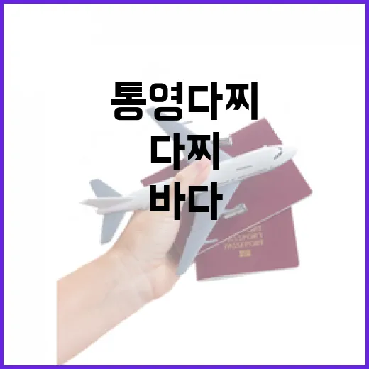 통영 다찌, 바다의 맛과 예술의 만남