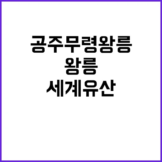 공주 무령왕릉 세계…