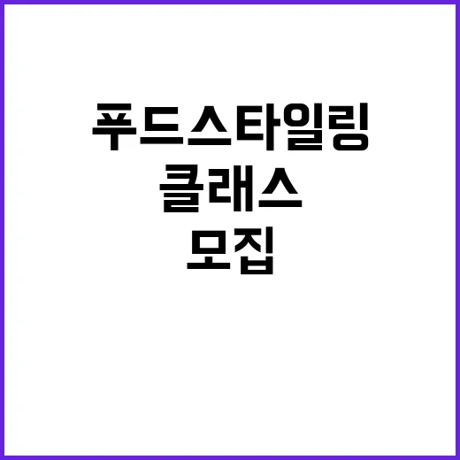푸드스타일링 원데이…