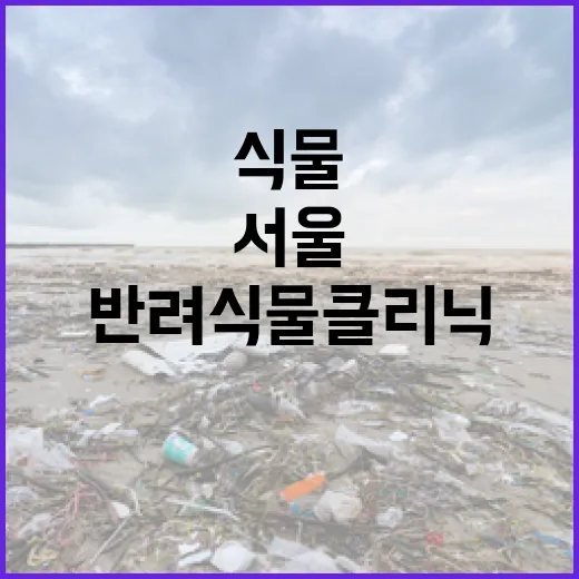 서울 반려식물클리닉 14곳 확대 운영