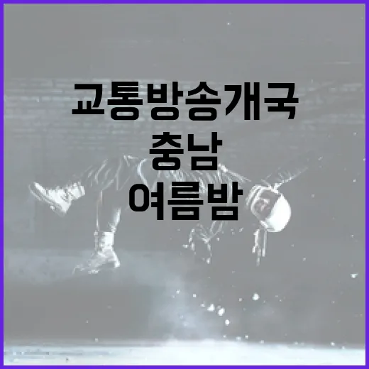충남 여름밤 빛낸 교통방송 개국 콘서트