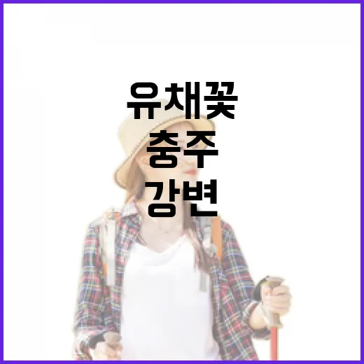 충주 강변 유채꽃과 강배체험관의 봄 풍경