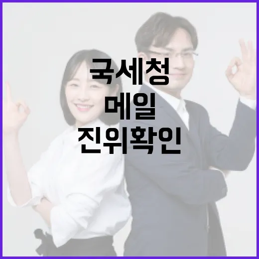 국세청 메일 진위확인 서비스 개시
